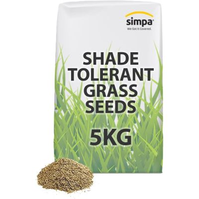 Shade Tolerant Lawn Grass Seeds