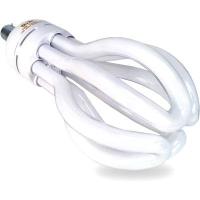 Energy Saver Spiral CFL Light Bulb