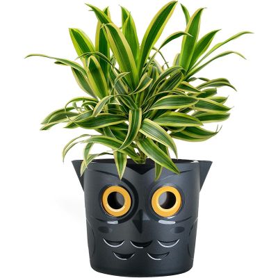 Novelty Plastic Indoor Smart Watering Plant Flower Pots