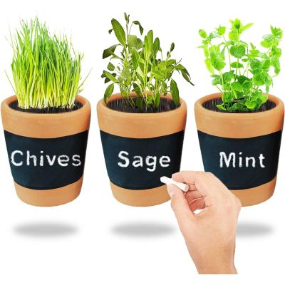 Pots Chalk Black Board Planting Seed Mint Sage